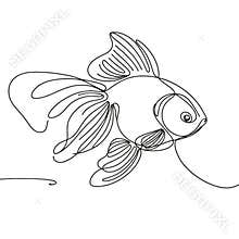 A fish is swimming in the water