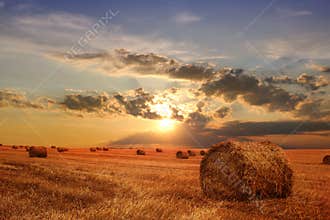 Stubble field and hay bales
