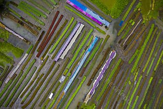 Traditional floating farming