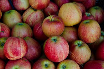 Apples