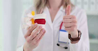 Doctor explains anatomy of model spine in clinic and holds thumbs up