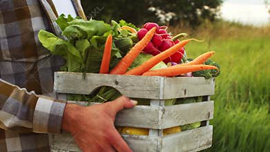 Farmer in front of a sunset agricultural landscape. Man in a countryside field. Country life, food production, farming