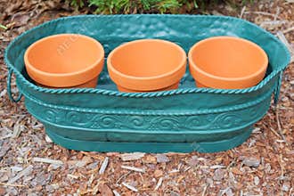 Clay Pots in Metal Container