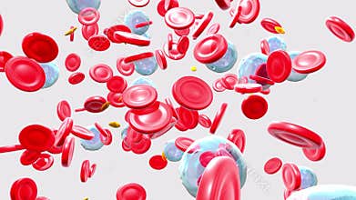 3d animation of the lateral movement of blood components.