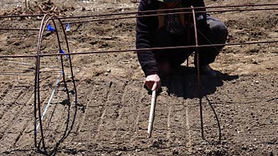 12-04-24 In India, farmers create sheltered rows for cropping on the lanc.