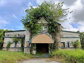 An old abandoned police station building was overgrown by wild shrubs, herbs and weeds slowly becoming into a small forest