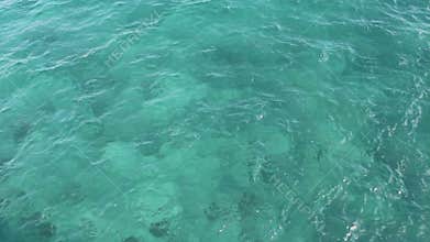Tropical Florida Ocean Water
