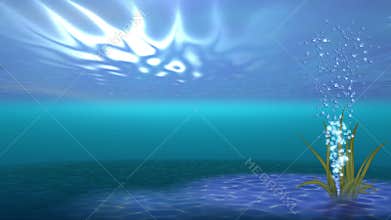 Aniamted falling seashell