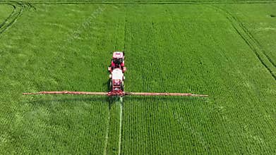 Field with young wheat or corn aerial view. Agricultural tractor tills the field with fertilizer.