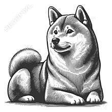 Happy Shiba Inu Dog engraving raster illustration