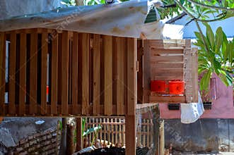 Side View of Chicken Coop with Frangipani Tree on a Sunny Day