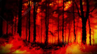 Trees Consumed by Flames and Shrouded in Thick, Rolling Smoket