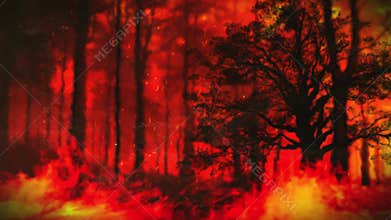 Trees Consumed by Flames and Shrouded in Thick, Rolling Smoket