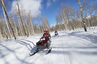 Couples On Snowmobile