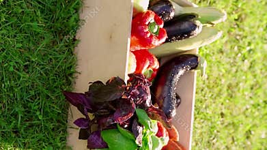 organic summer vegetables in a wooden box on green grass ready delivery