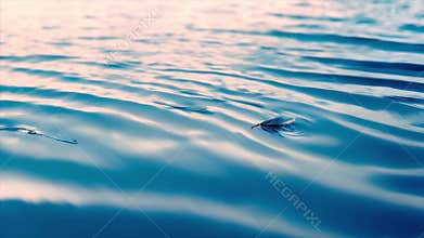 Sunny blue rippled water surface