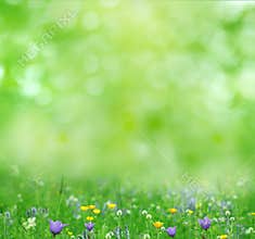summer background
