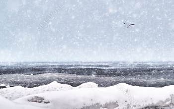 Frosty shades of winter seascape
