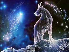 Capricorn Sea-Goat