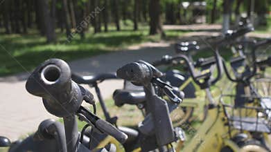 rental of electric scooters in the summer in the town