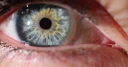 Blue orange human female eye closeup