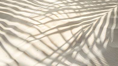 Generative AI Banner of Palm leaf shadow on sand top view copy space business concept.