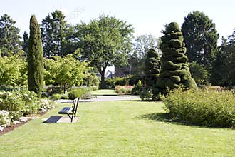 Rose garden with nice lawn