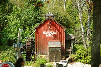 Magic Kingdom Decoration