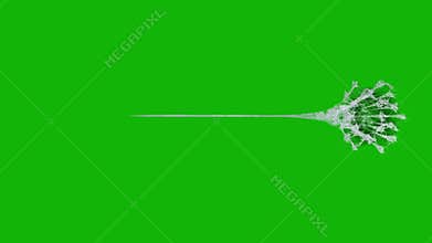 Web top quality animated green screen video 4k