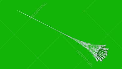 Web top quality animated green screen video 4k