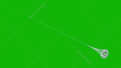 Web top quality animated green screen video 4k