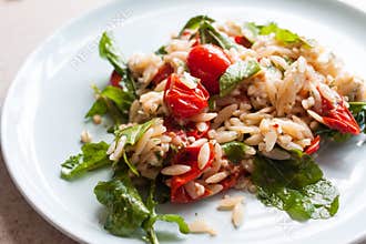 Garden fresh tomato and orzo salad