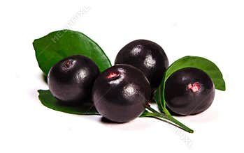 The amazon acai fruit