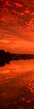 Vertical Sunrise Banner