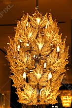 Ceiling Light chandelier