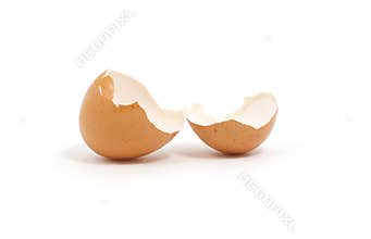 Something hatched from eggs