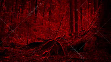 Passing Tree Roots In Scary Red Forest