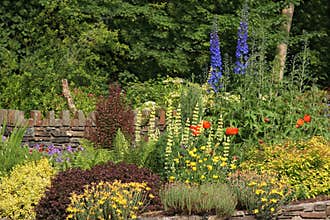 Cottage Garden