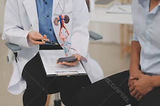 Urologists advise patients about prostate problems. Treatment of cancers of the urinary tract and male reproductive organs The