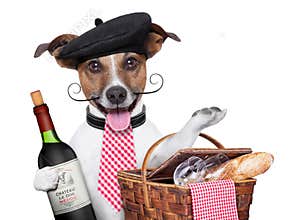 French dog