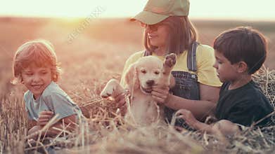 Little children boys with mom and golden retriever puppy on wonderland nature background. Fantastic sunset light. Kids