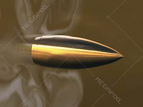 Flying bullet