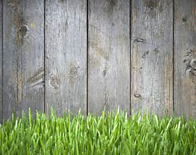Grass Wood Fence Background