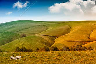 Farmland in Australia