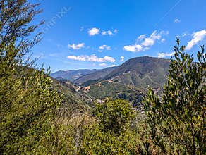 Landscape in Picton during hiking