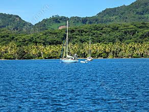 Sailboat in the lagoon