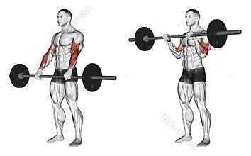 Exercising. Curl with a barbell grip on top
