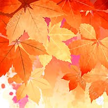 Autumn Vector Watercolor Fall Leaves
