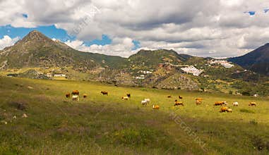 Pueblos Blancos near Casares, Andalusia, Spain