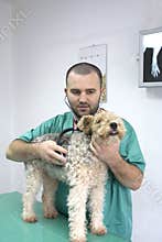 Veterinarian Doctor